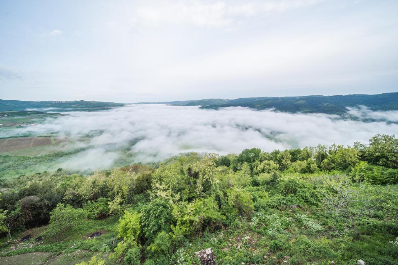 Villa Borgo B&B Motovun Eksteriør bilde