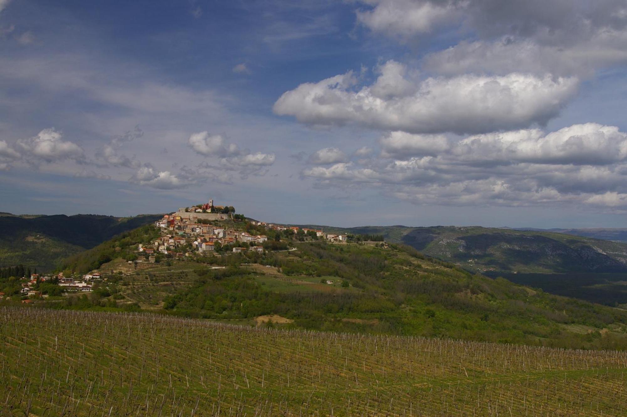 Villa Borgo B&B Motovun Eksteriør bilde